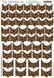 Wraps french for short and medium-length nails -265-