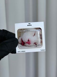 Стикерпак на телефон , ноутбук ,блокнот таполапка с блестками S022 3DstickerS22 фото