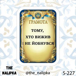3д стікер" ТОМУ,ХТО ВИЖИВ І НЕ ЙОБНУВСЯ" s 227 3DstickerS227 фото