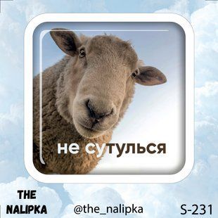 3д стікер"НЕ СУТУЛЬСЯ" s 231 3DstickerS231 фото