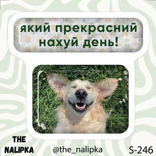 3д стікер"ЯКИЙ ПРЕКРАСНИЙ НАХУЙ ДЕНЬ!" s 246 3DstickerS246 фото