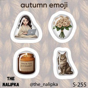 3д стікер"AUTUMN EMOJI" s 255 3DstickerS255 фото